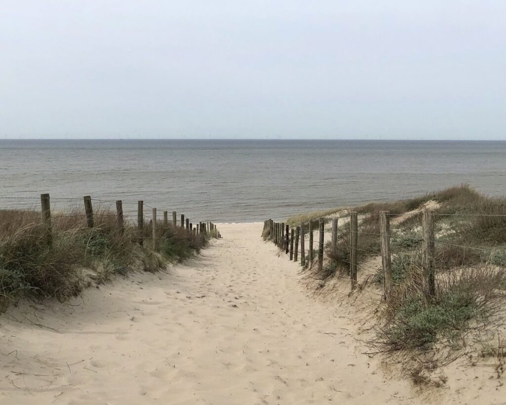 Walk to the Beach
