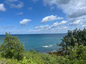 online business for retirement